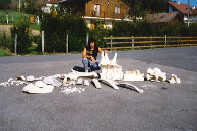 bones2.jpg (18729 octets)