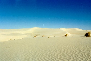 dune2.jpg (20517 octets)