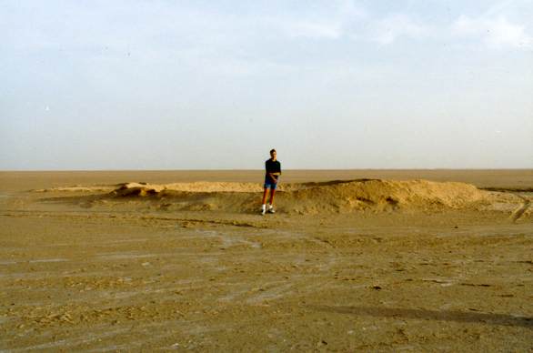 larsext4.jpg (22764 octets)